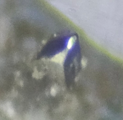 A severly worn diamond stylus with upwards of 2000 play hours